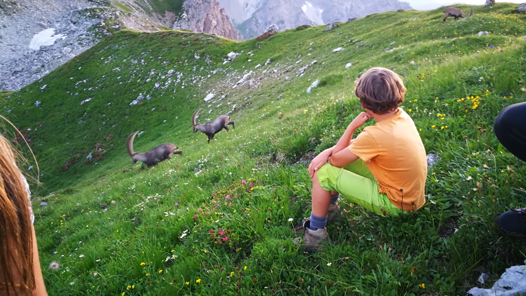 Herrlicher Blick auf den Rappenseekopf